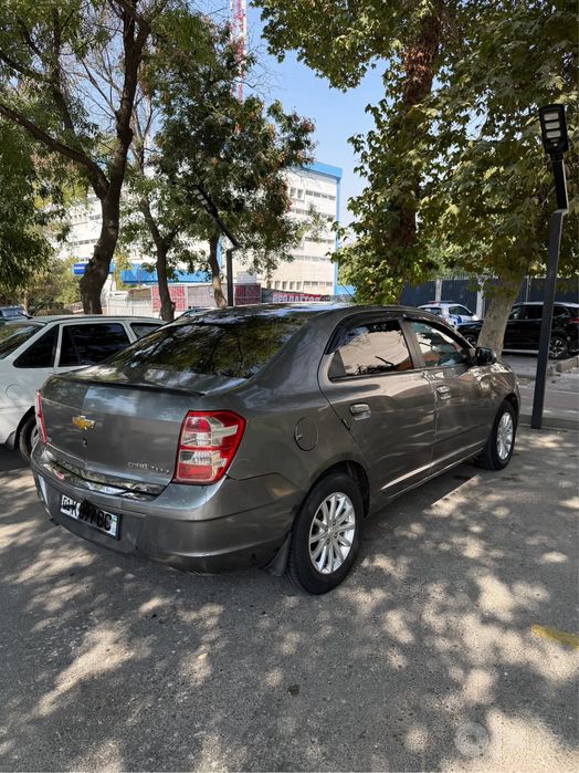 Cobalt AT 2013y. Gazi bor