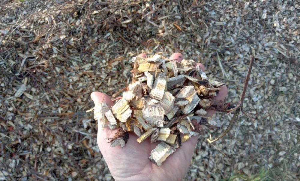 Inchiriez tocător vegetatie,crengi , materie lemnoasă