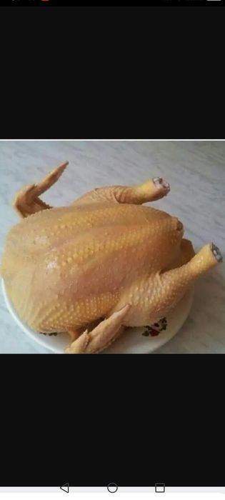 Домашние Куры бройлеры