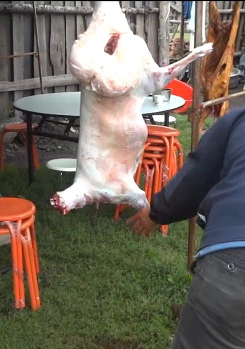 Miei ,iezi si oi de paste