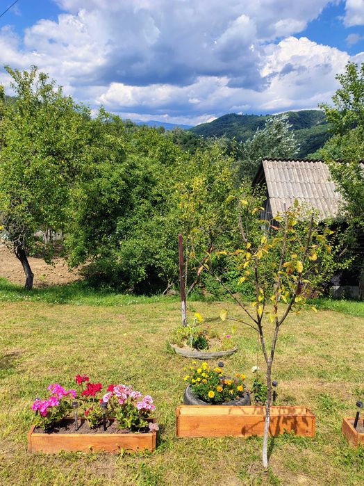 Zona munte  vând casă bătrânească teren 1177 entabulat plus 1600 m chitanța de mana