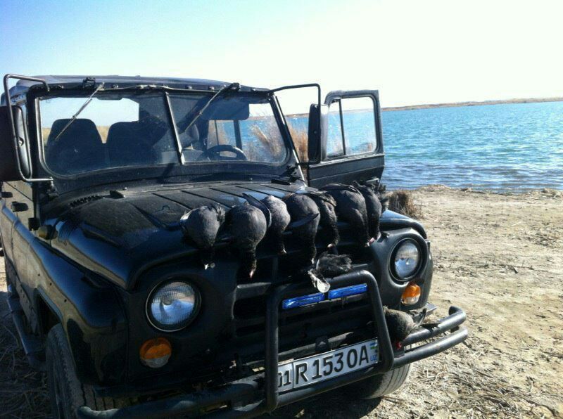 Уаз 469 Машина для отдыха и работы.