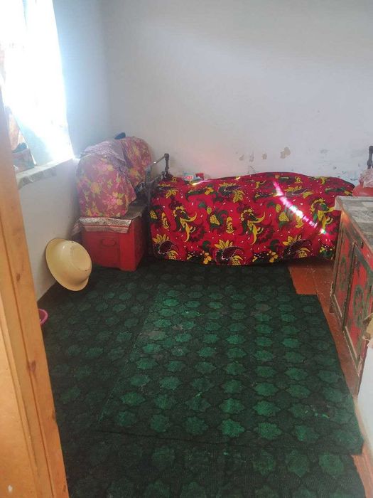 Sho'rko'l yaqinida joylashgan Uy va 50+ so'tig'li maydon