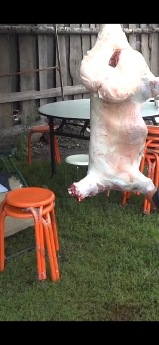 Miei ,iezi si oi de paste