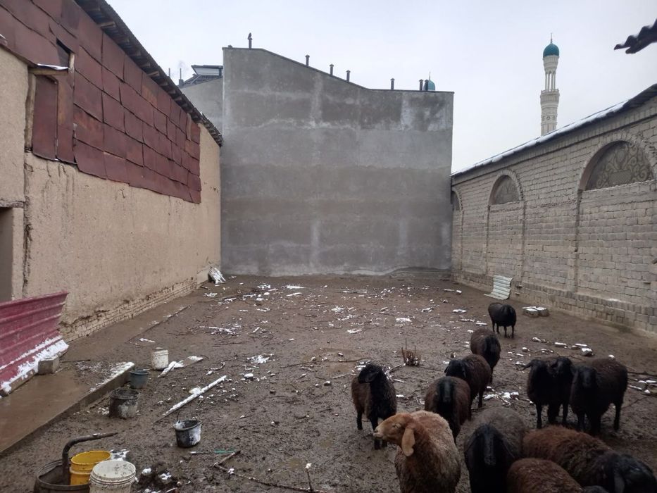 Uchastka sotiladi srochniy 7.4 sotih