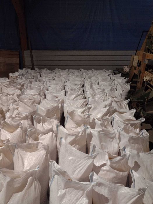 Vând porumb uscat, cantități mici și mari