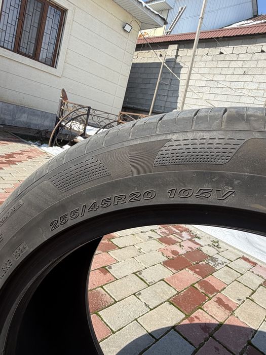 Шины жазғы дөңнелек