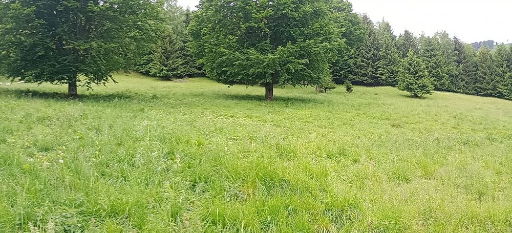 Vând teren în stațiunea Râușor!