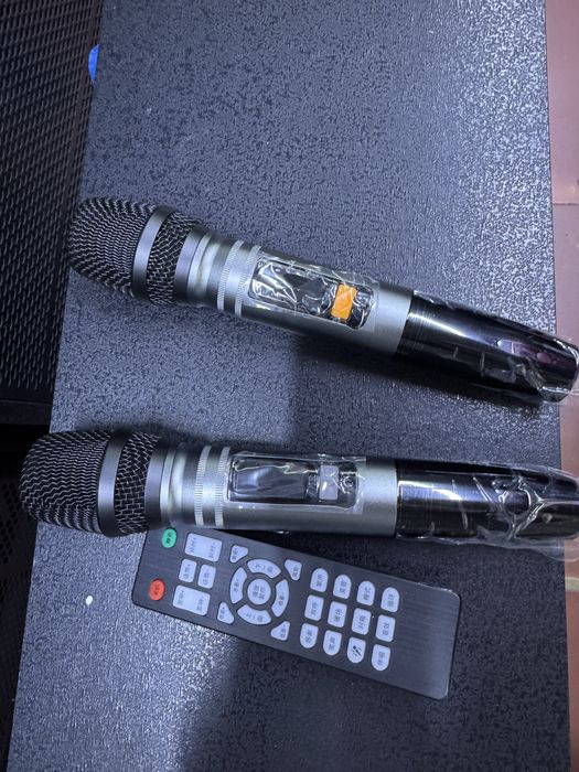 Портативная колонка с 2 микрофонами