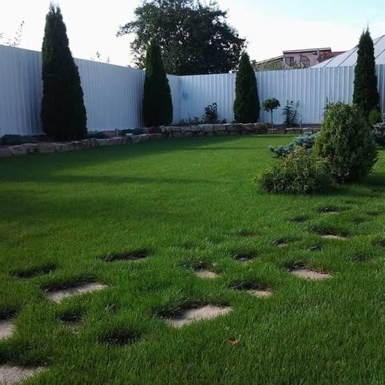 Amenajari gradini/Peisagistica/Toaletari arbori