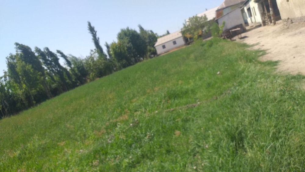 12 sotix yer sotiladi