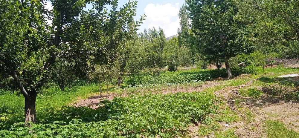 Бустонлык тумани Испай кишлоги