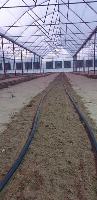 Охлаждения теплицы