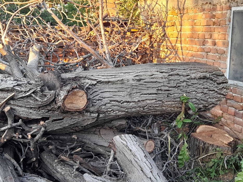 Орех за материал, дървесина.