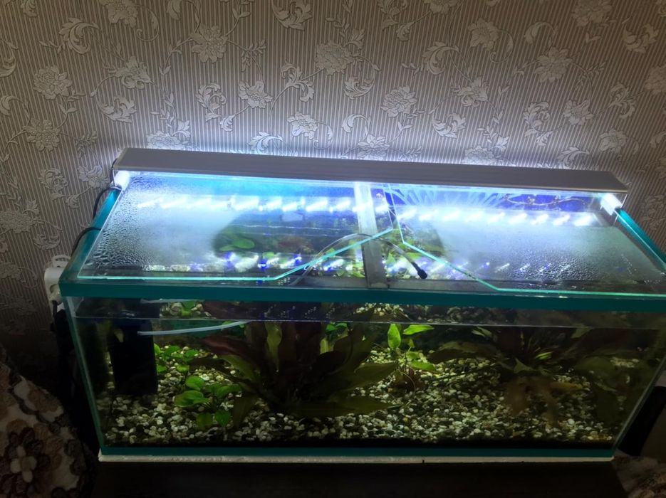 Продам аквариум,..