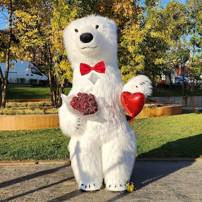 Аниматоры на выезд