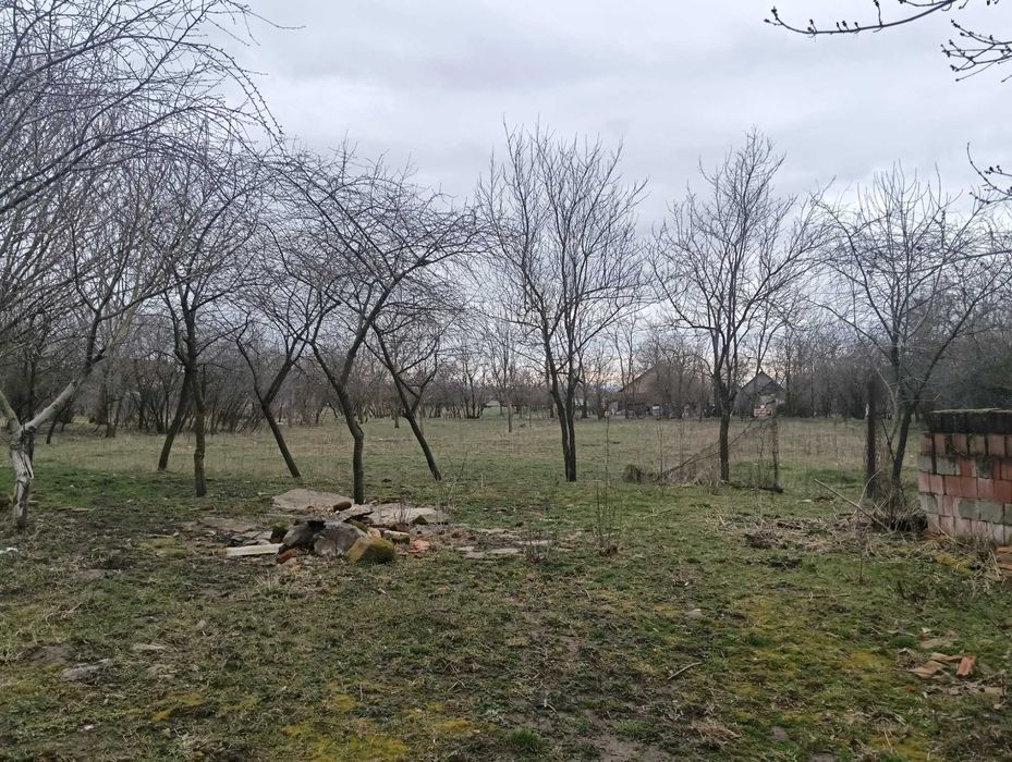 Casă/teren în Semlacul Mare jud. Timiș