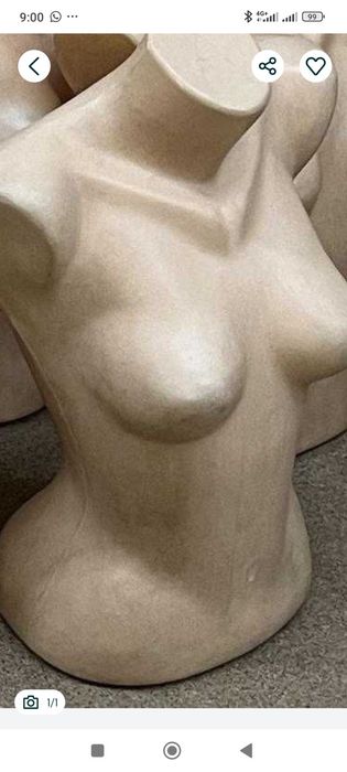 Продам торсы по 500 тг