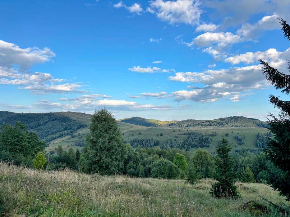 Teren 1000mp, Muntele Băișorii. Vedere superbă, gata de construit.