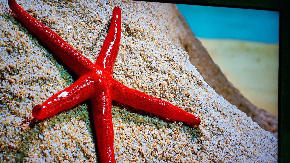 Настоящий 4к LG диагональ 70ка