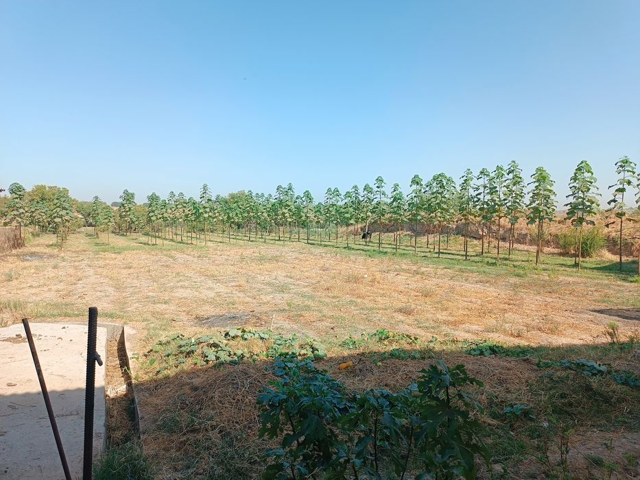 Xovli sotlad yangiyol tuman 55 yol yoqas bõlib sotamz