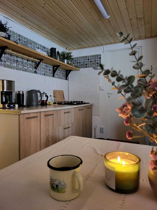 Cabana Ratacita - de inchiriat Belis