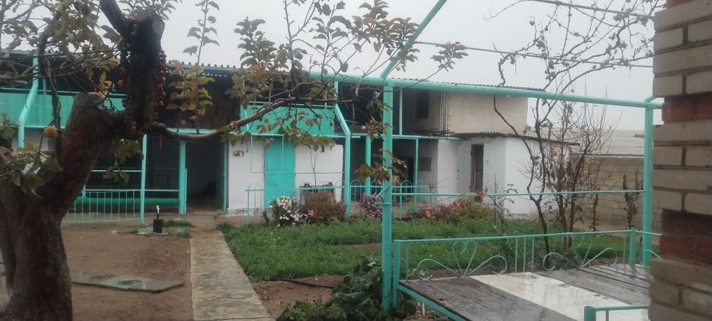 Б/ж оазисда дача сотилади хамма шароити бор.