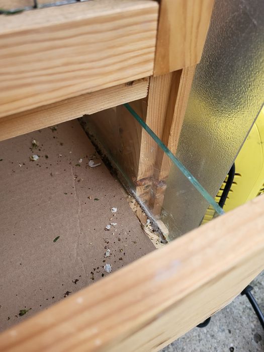 Colivie pentru pasarele