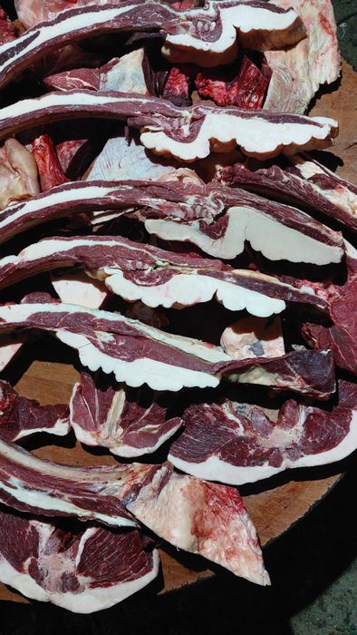 Продам конина табак, минибеш