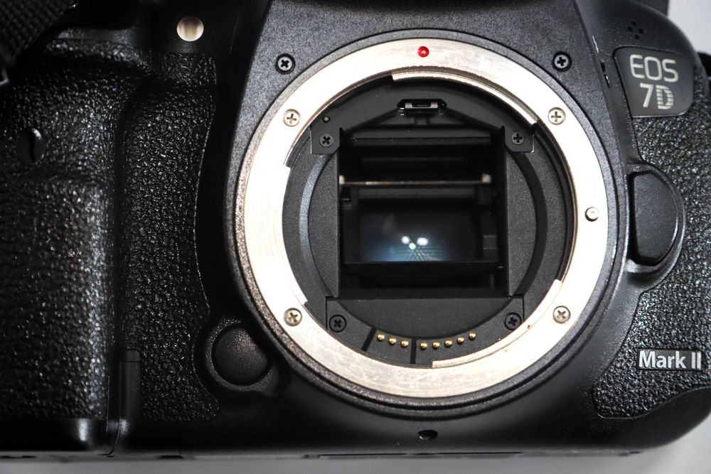 Canon 7D Mark II+Sigma 18-200mm DC OS HSM