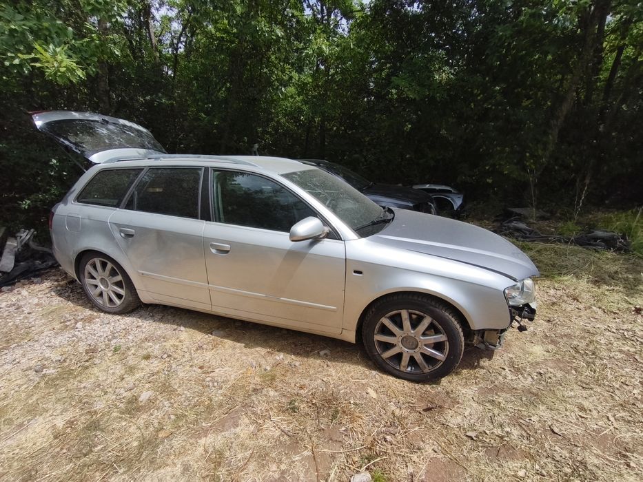 Audi A4 B7 3.0 TDI на части