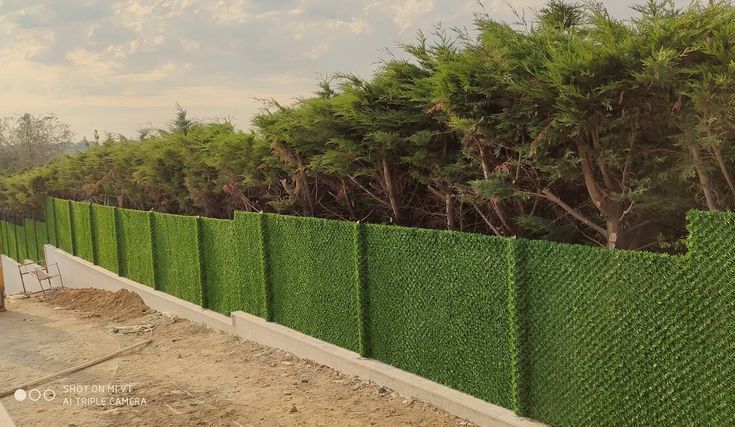 Dekorativ sun'iy yashil devor.