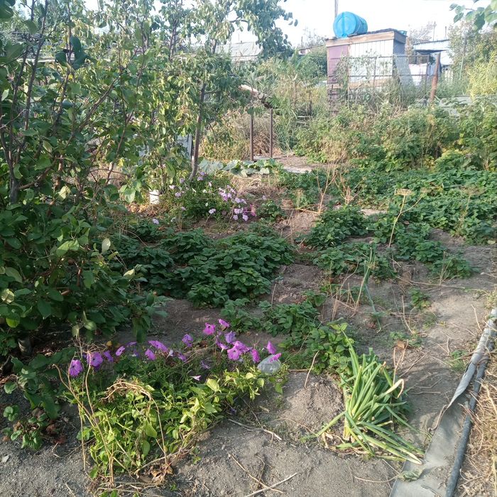 Срочно Продаётся Коттедж.