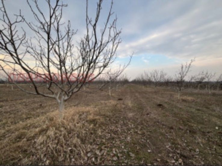 Продава се Земеделски имот в Перущица -  кв.м за 4857 €/дка - Снимка #2