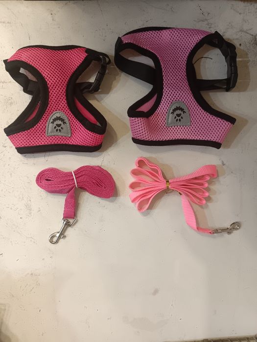 Аммуниция для собак (шлейка, ошейник,)