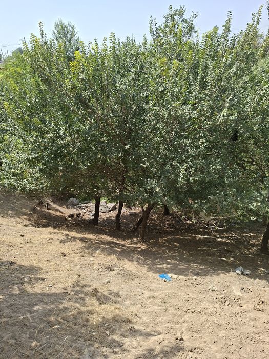 Мехнат ёнидиги куча Янги 16 йилликда участка сотилади 3 сотих 2 с захв