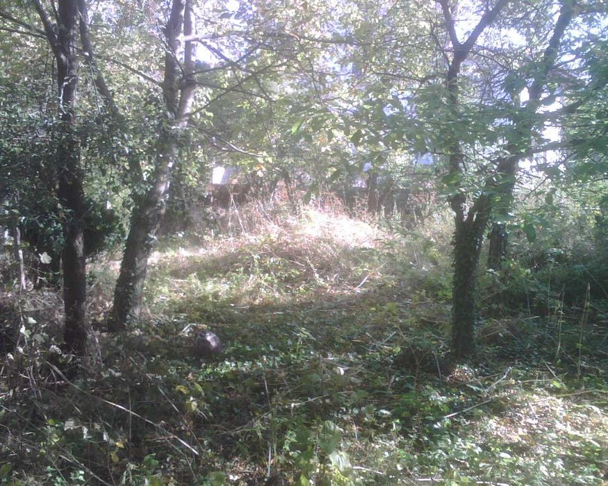 Продава се Парцел в с. Извор, Област Пловдив - 500 кв.м за 40 €/кв.м - Снимка #2