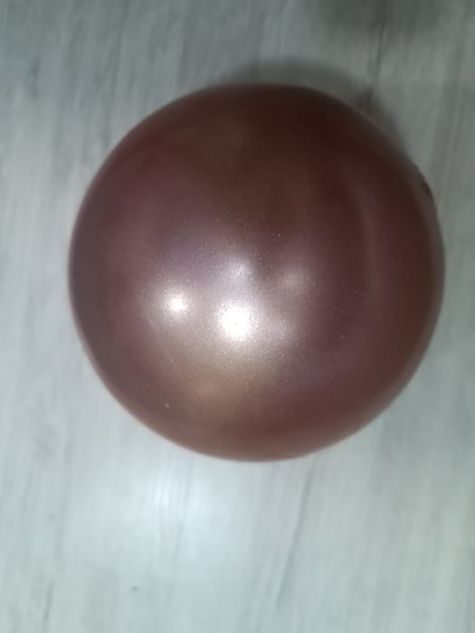 Гимнастическа професионална топка