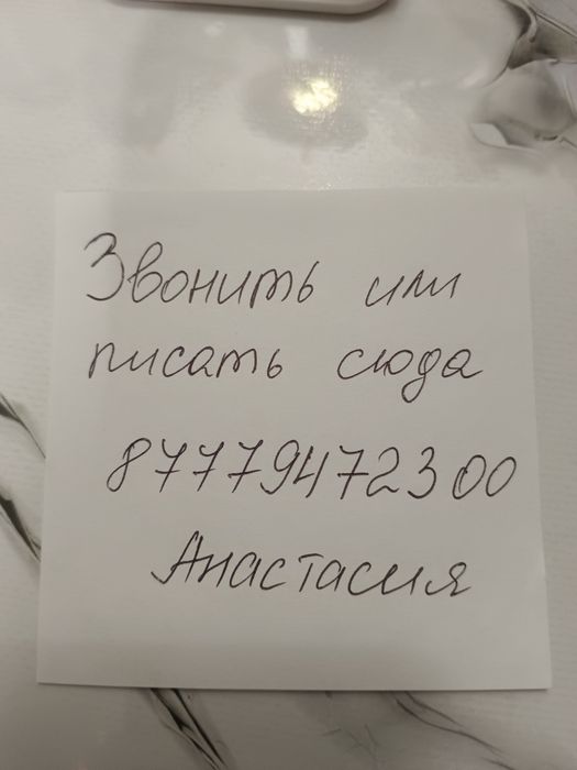 Пристраивается котик