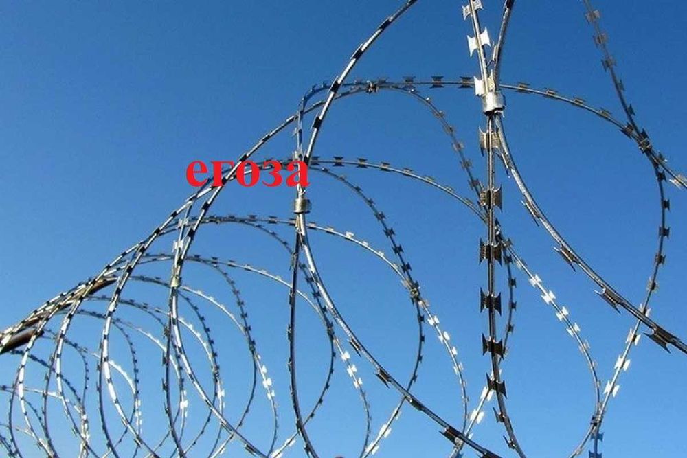 Колючая проволока, Егоза