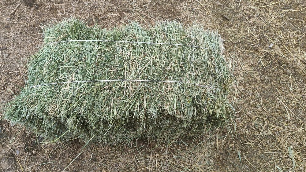 Жонышка прес сатылады