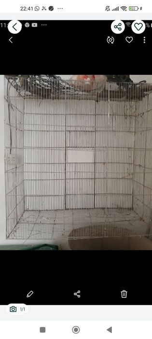 Вольер кушлар учун.