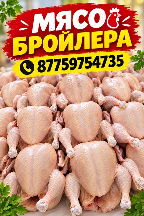 Мясо домашнего бройлера
