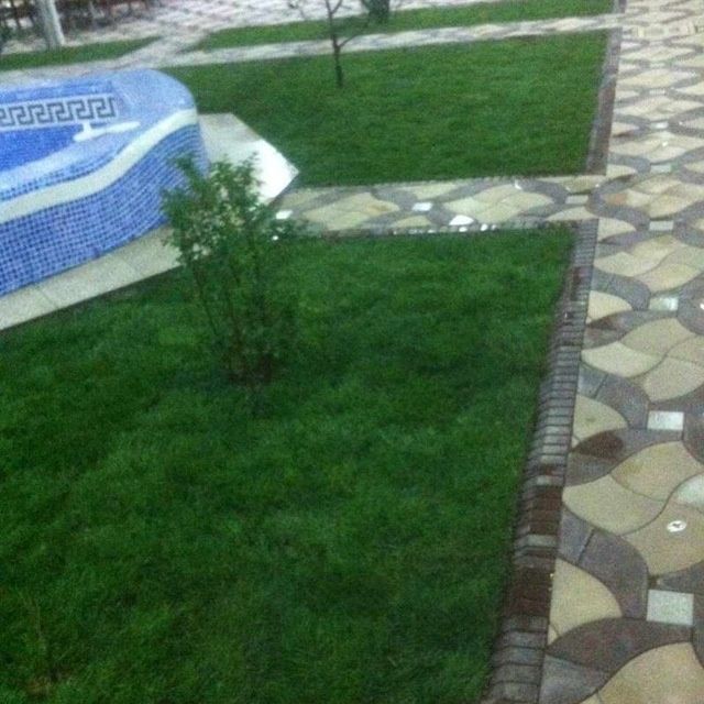 Ландшафт с нуля Полив и посадка.