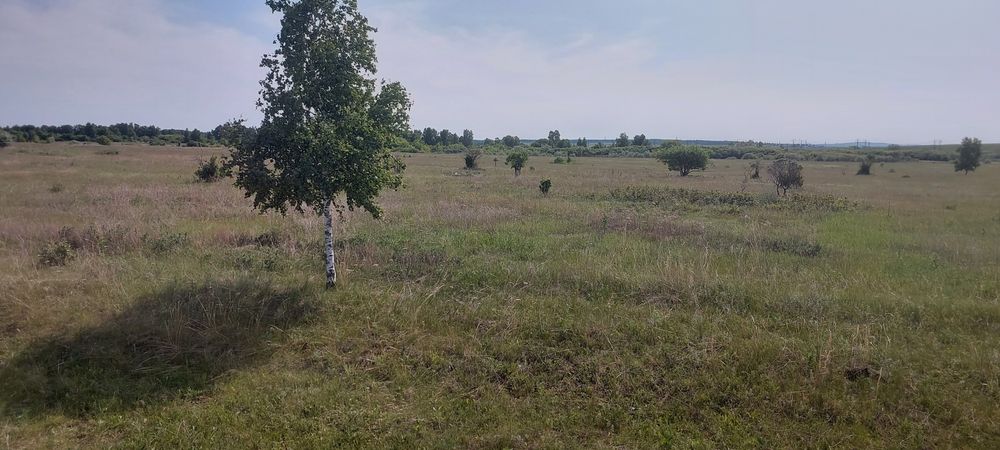 Продам земельный участок 1га