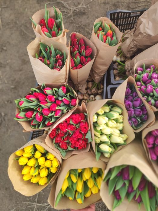 Букет 101 тюльпан новый