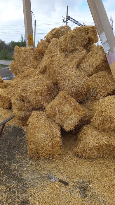 Салома, Клевер, Сено.