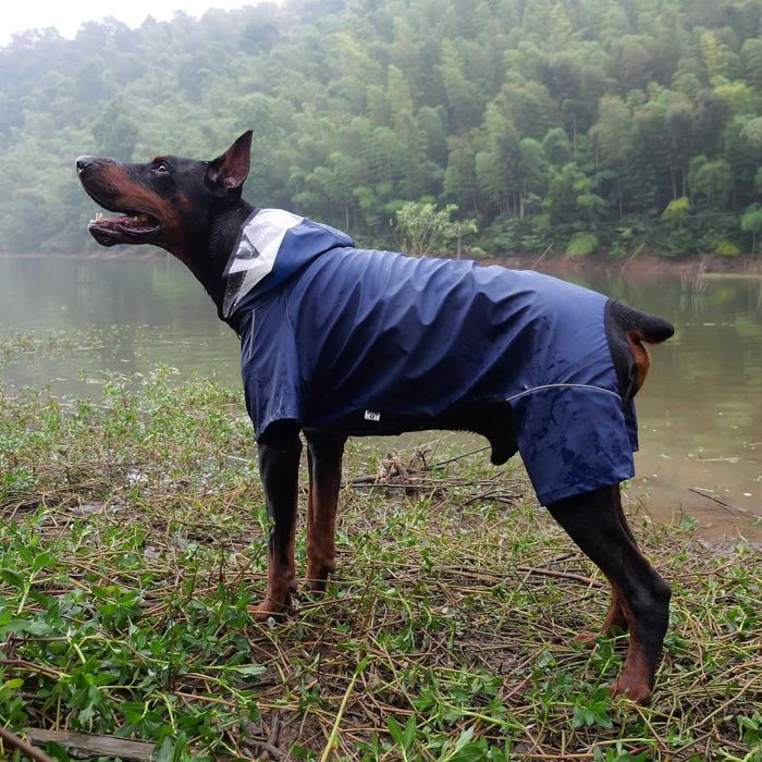 Пълно покритие Водоустойчив дъждобран за кучета, тъмносин 4XL