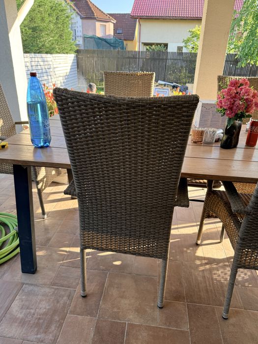 6 scaune de terasa/gradina