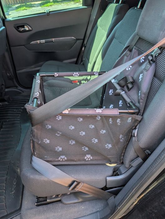 Scaun auto protectie catei pisici